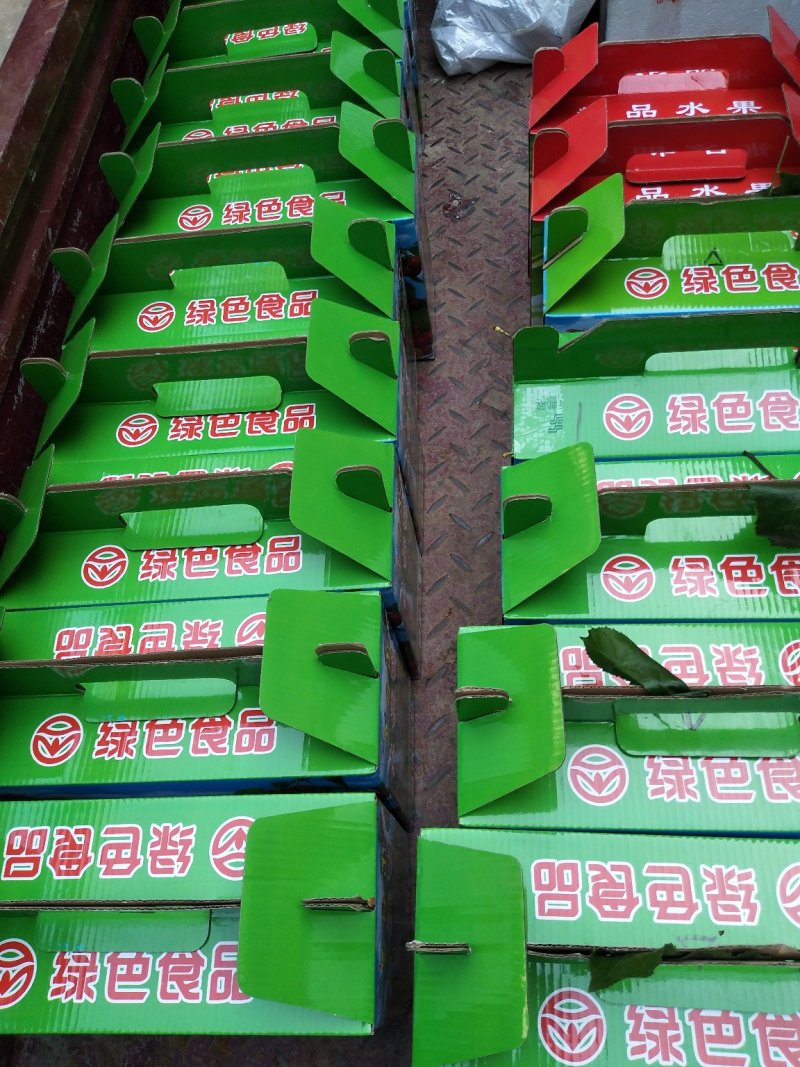 樱桃，樱珠，〖美早，水晶，大紫，红灯，乌克兰〗