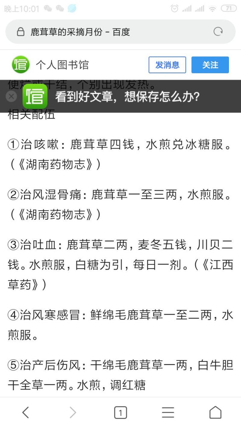 鹿茸草