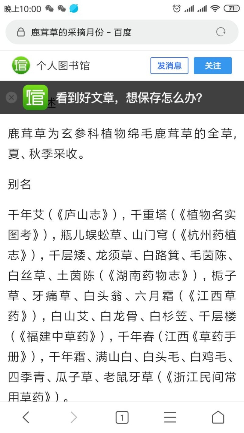 鹿茸草