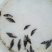 【热销】产地鳜鱼苗翘嘴鳜鱼苗饵料鱼渔场直销诚信经营