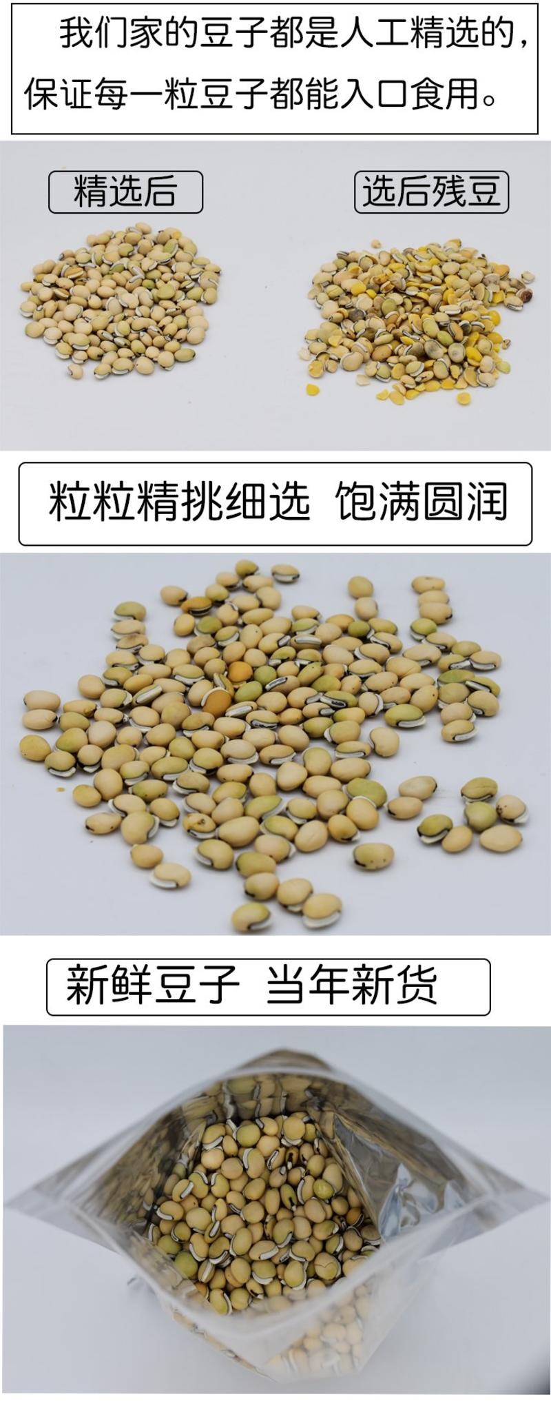 云南老品种白扁豆，有黑点才正宗