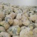 纸袋白面青梗松花菜，小米粒，乳白净花冷库大量有