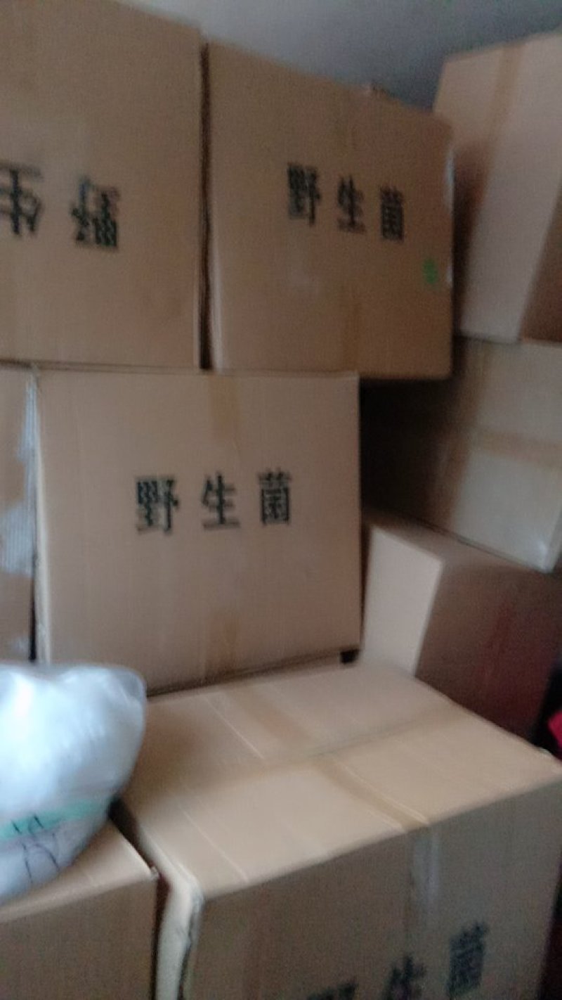 鲍鱼菇。