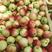 城固油桃品种很多有万亩以上吃硊甜刚刚上市
