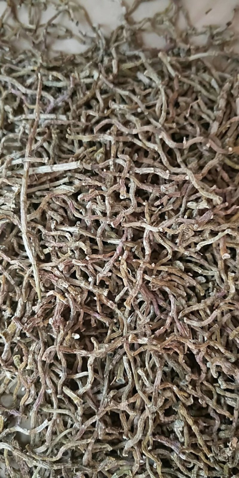 铁皮石斛枫斗