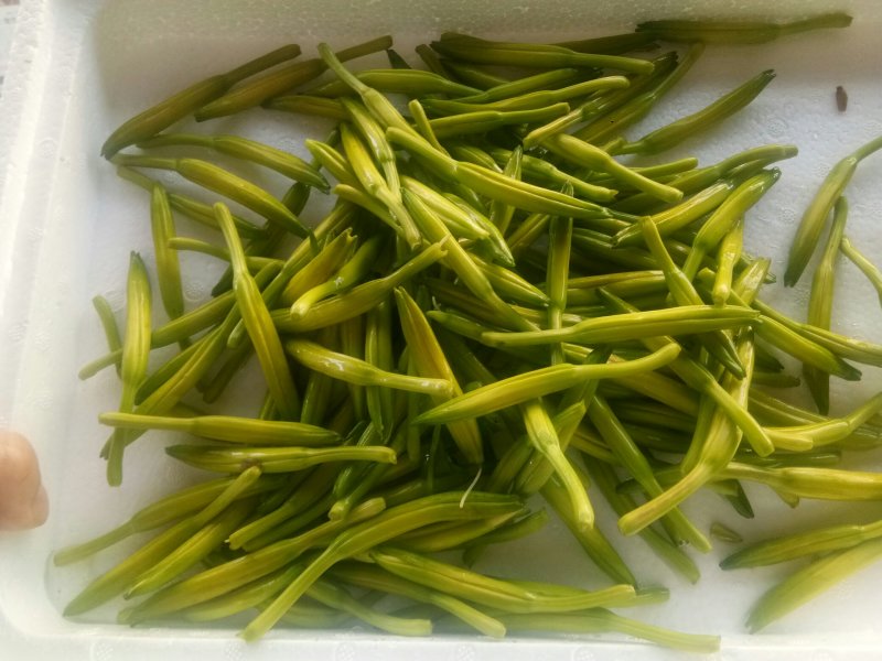 优质黄花菜鲜黄花菜，大量批发，散装，各种包装规格
