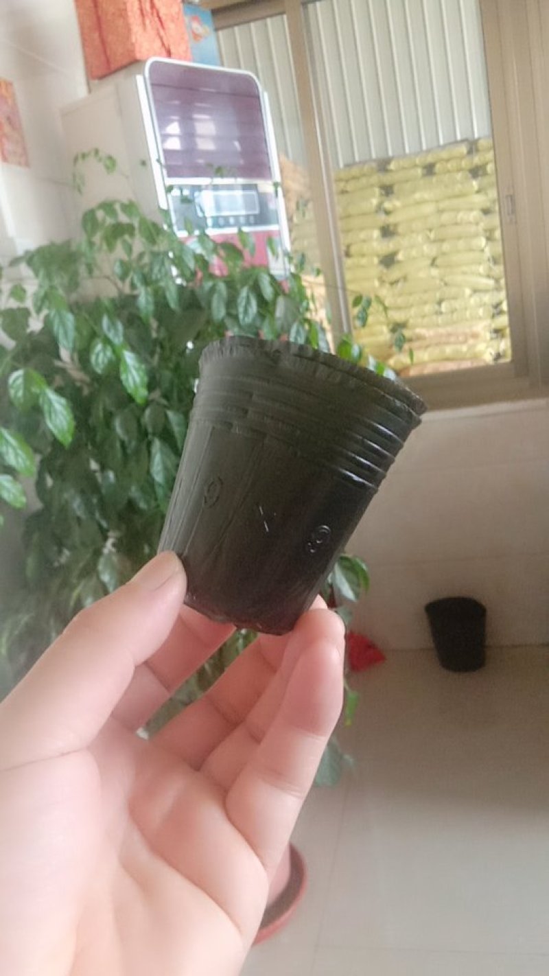 育苗袋13×12～5000个全部包邮
