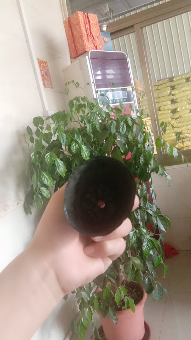 育苗袋13×12～5000个全部包邮