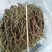 铁皮石斛干条广西红杆胶质饱满