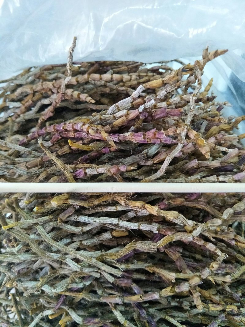 铁皮石斛干条广西红杆胶质饱满