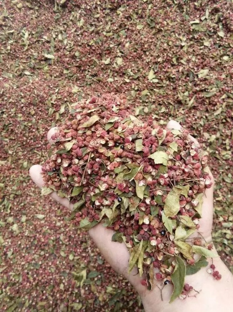 花椒莱芜大红袍花椒