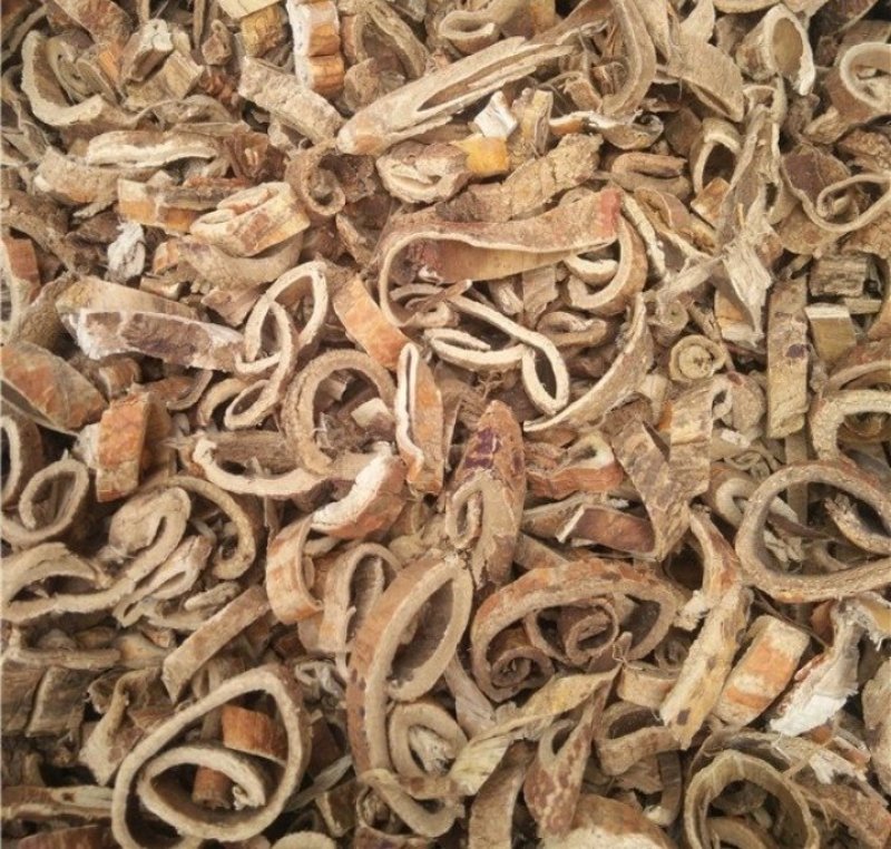 桑白皮桑白皮无硫、白桑皮
