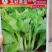 10克杂交种五彩黄苔一号菜苔种子