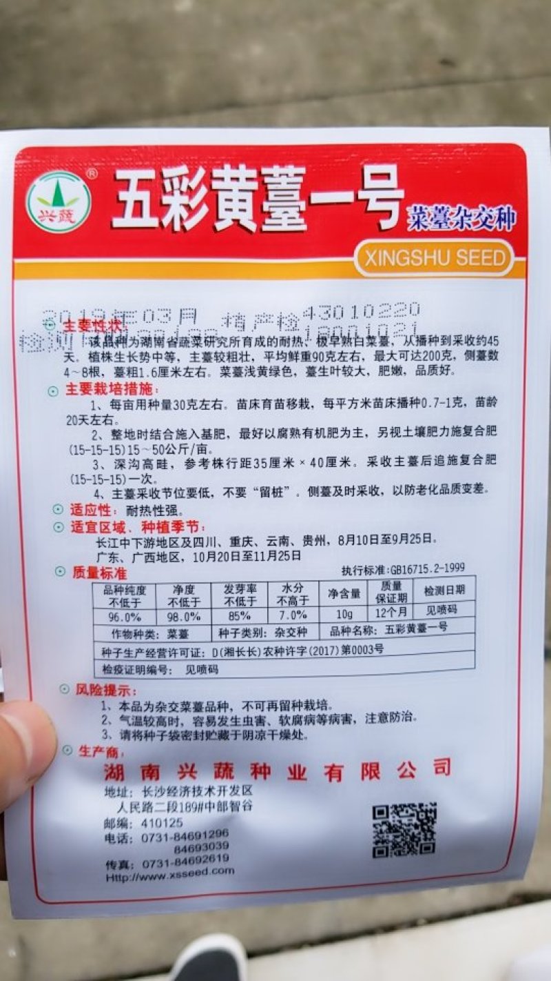 10克杂交种五彩黄苔一号菜苔种子