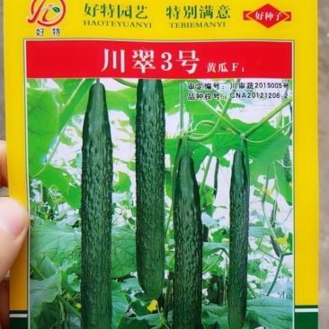 黄瓜种子牛商推荐量大从优