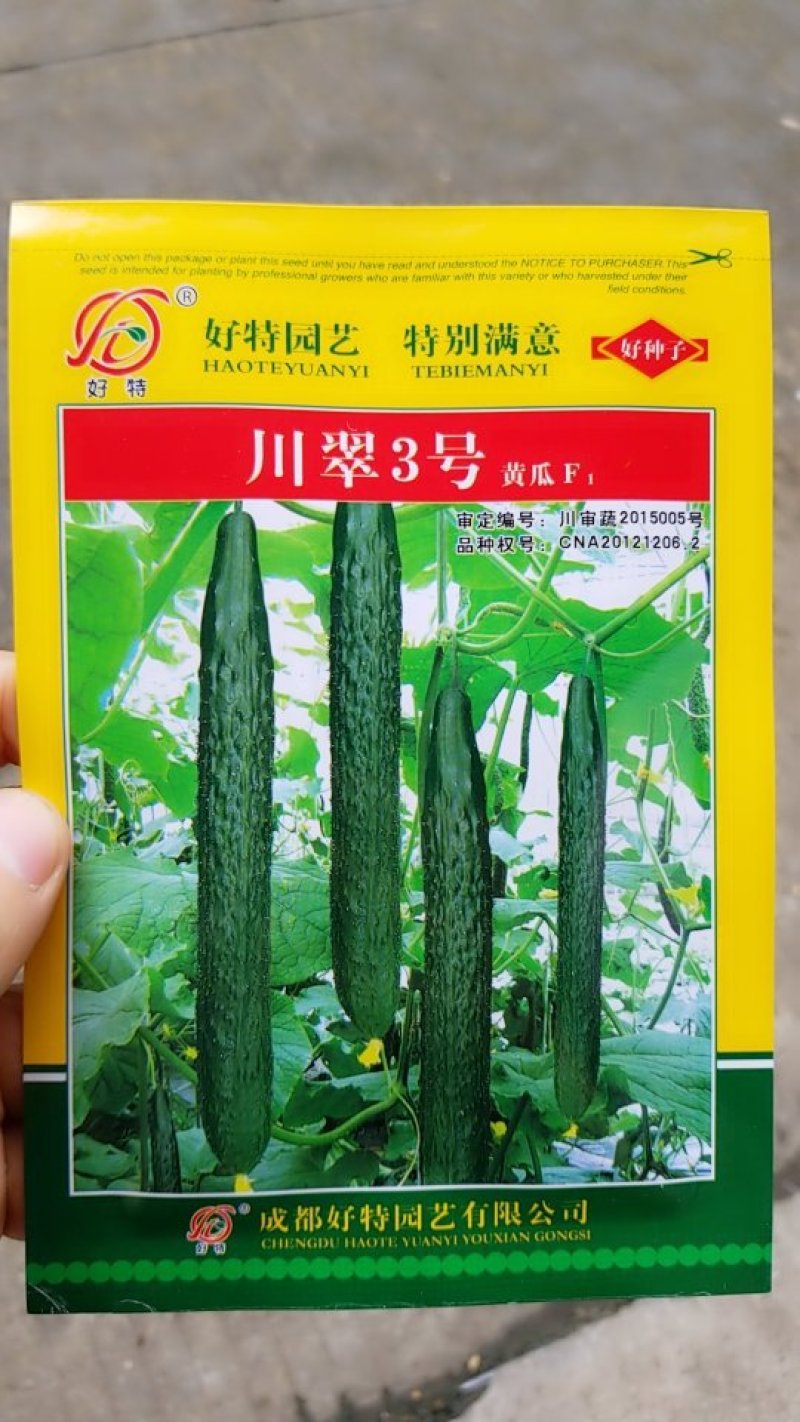 黄瓜种子牛商推荐量大从优
