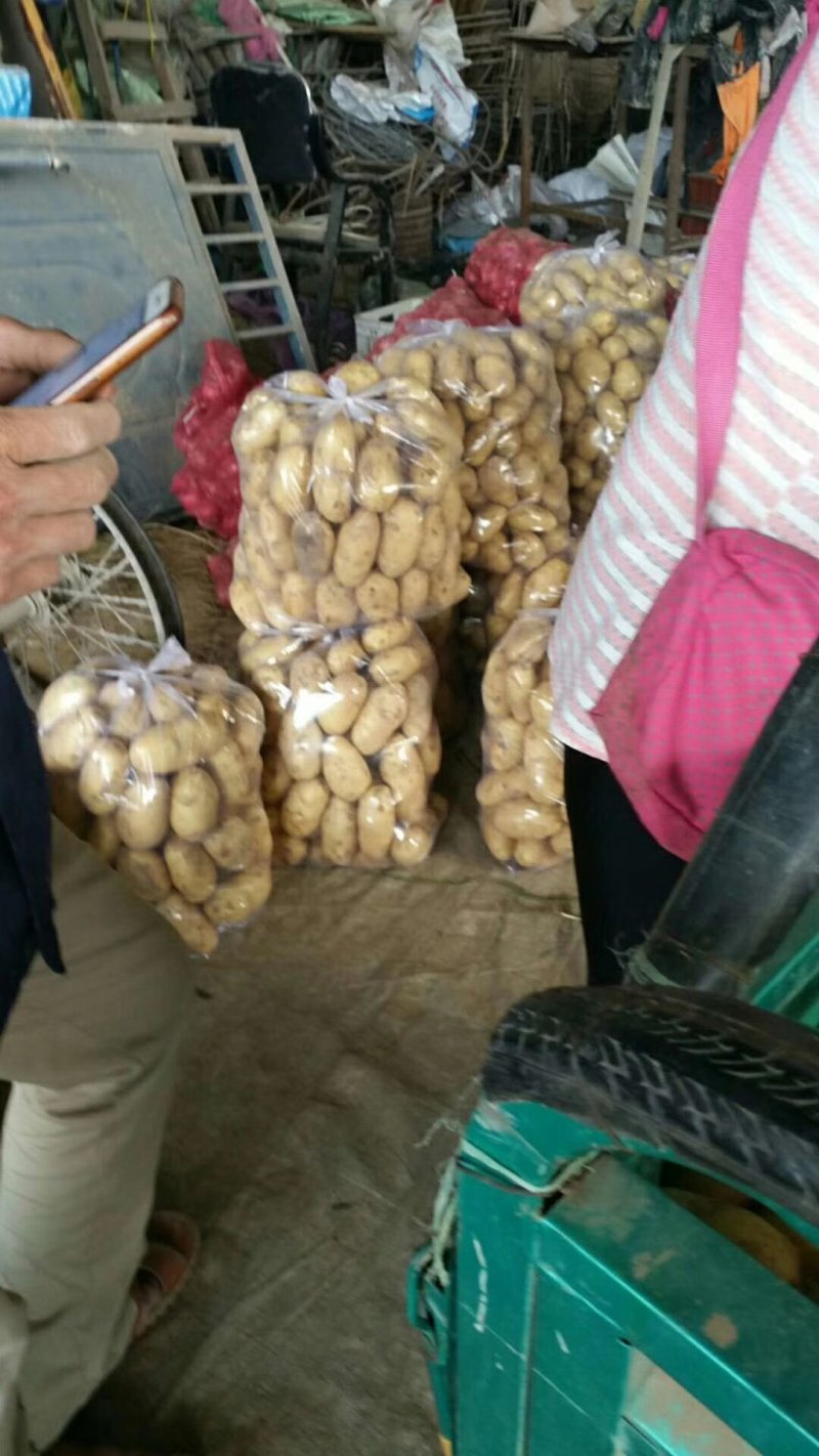 精品沃土，3两以上希深，保质保量诚信经