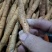 野生牛大力