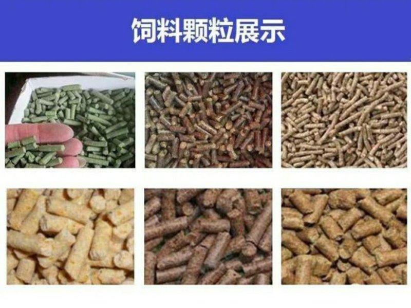 颗粒机养殖饲料造粒机