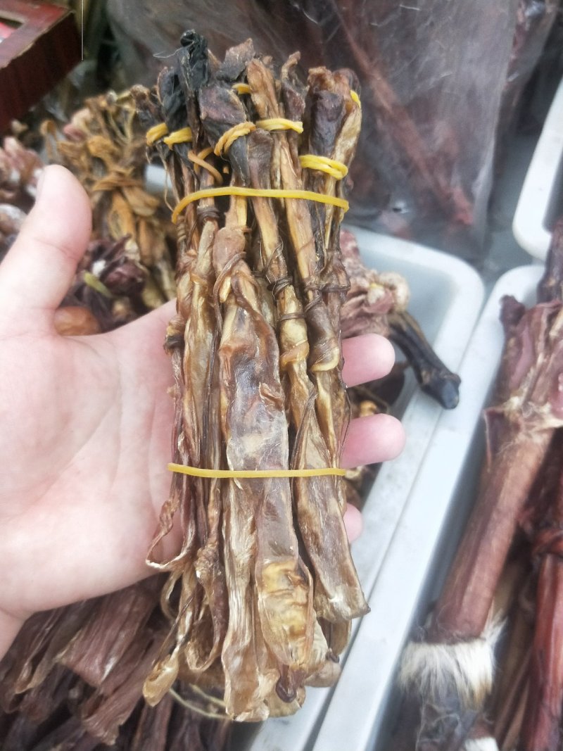 黄狗鞭海狗鞭正品保证质量泡酒料