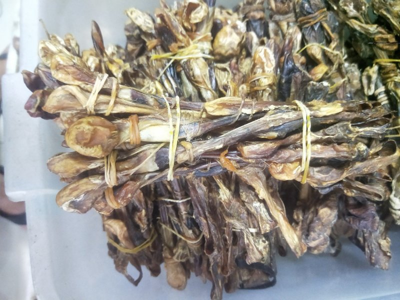 黄狗鞭海狗鞭正品保证质量泡酒料
