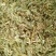 伸筋草新货伸筋草色青无杂质大货批发零售正品保障