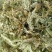 伸筋草新货伸筋草色青无杂质大货批发零售正品保障