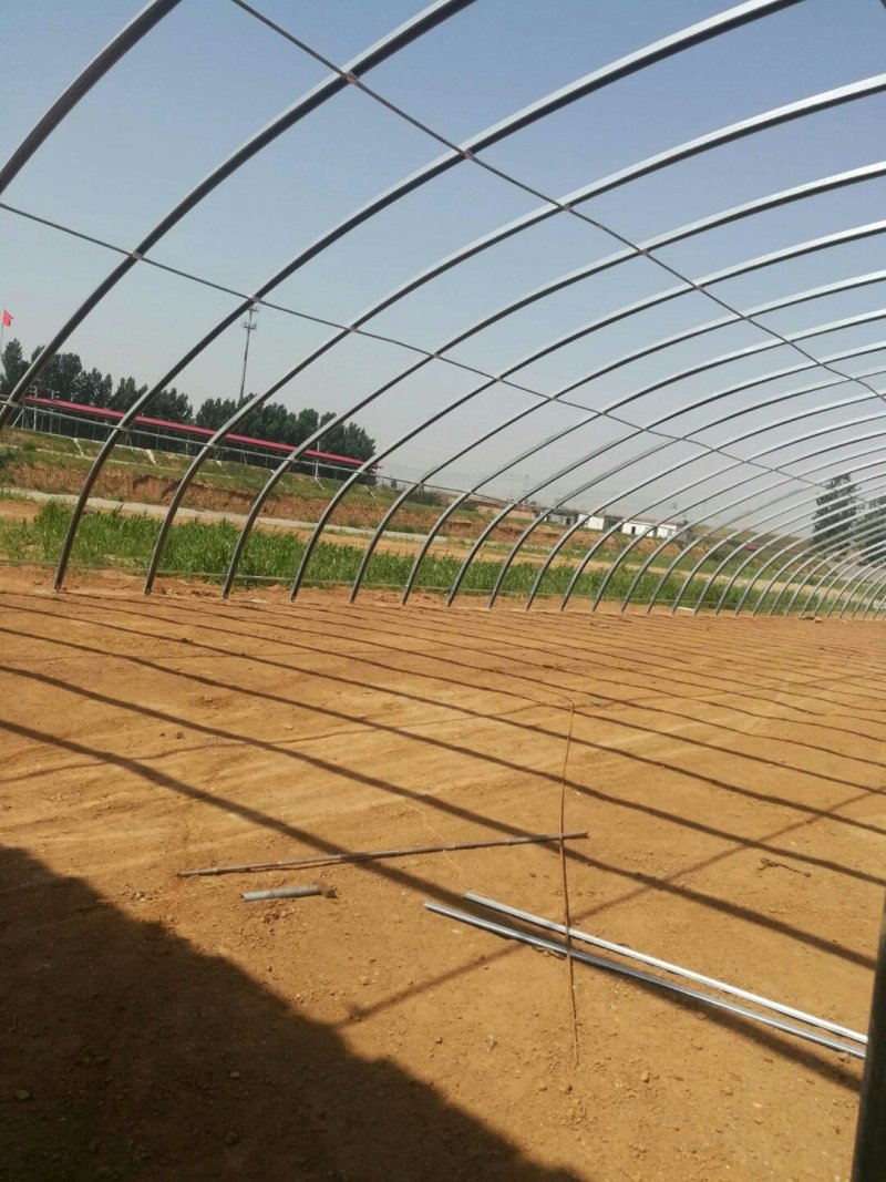 淇县温室大棚骨架，智能温室连栋大棚，食用菌大棚设计
