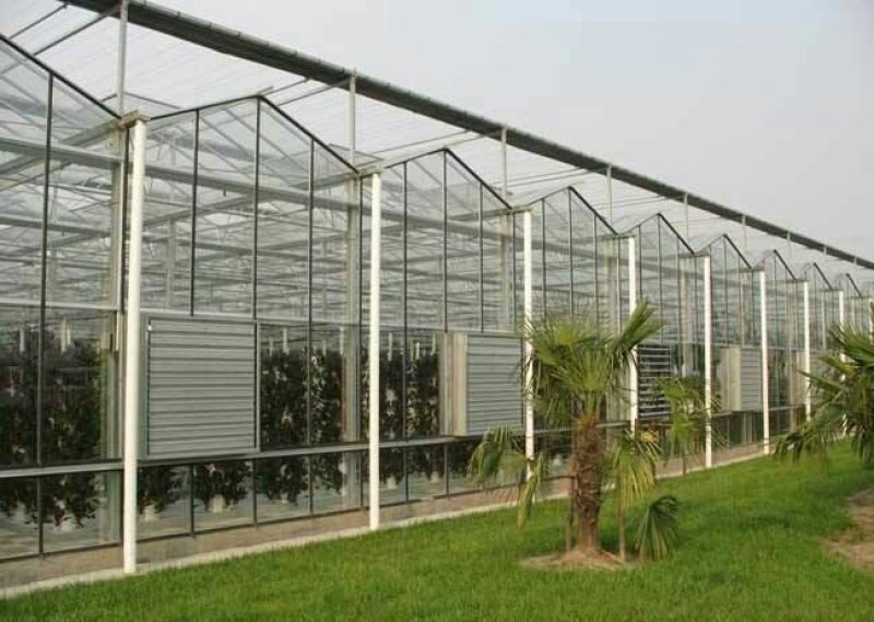 淇县温室大棚骨架，智能温室连栋大棚，食用菌大棚设计