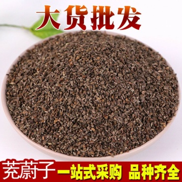 茺蔚子供应上千种中药材