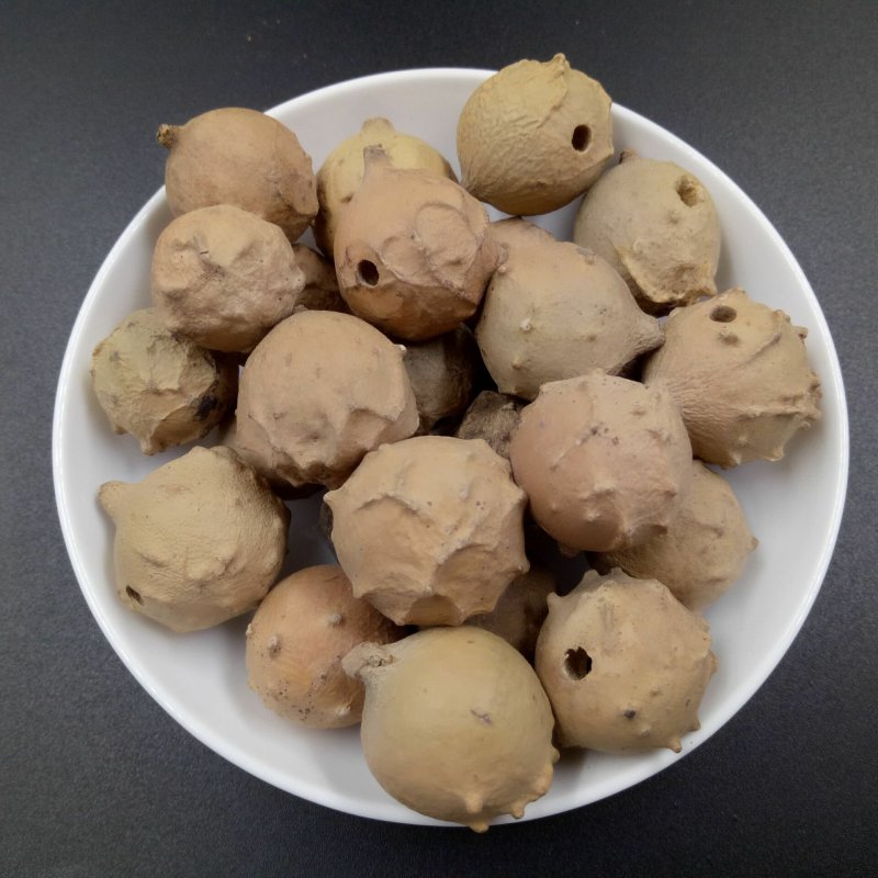 没食子供应上千种中药材