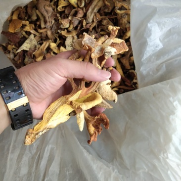云南各种野生菌，纯野生低价处理，量大从优，质量有保障