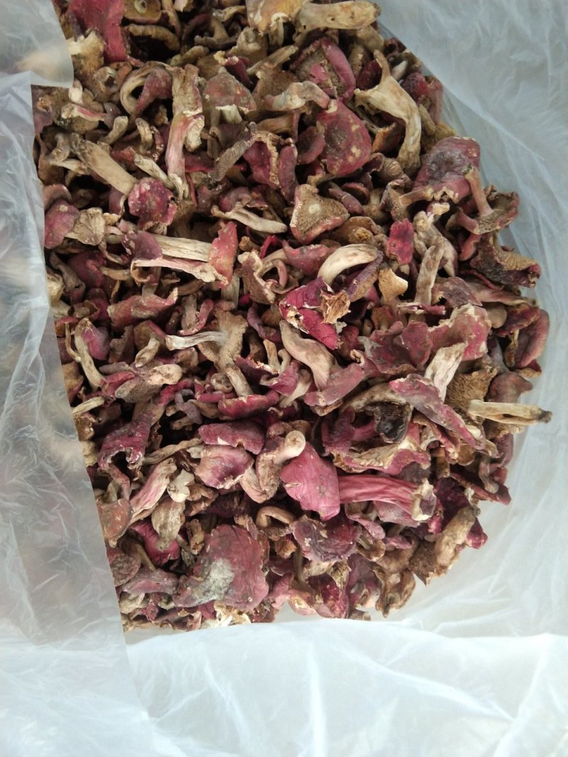 云南各种野生菌，纯野生低价处理，量大从优，质量有保障