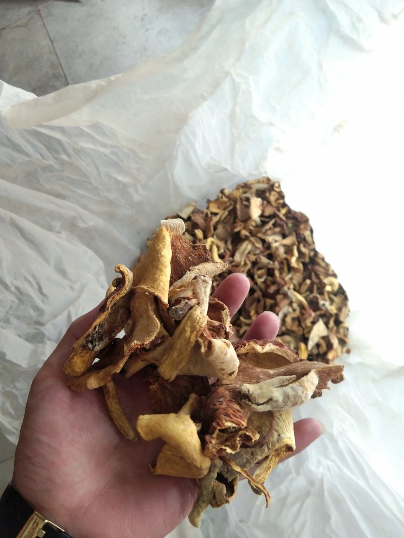 云南各种野生菌，纯野生低价处理，量大从优，质量有保障