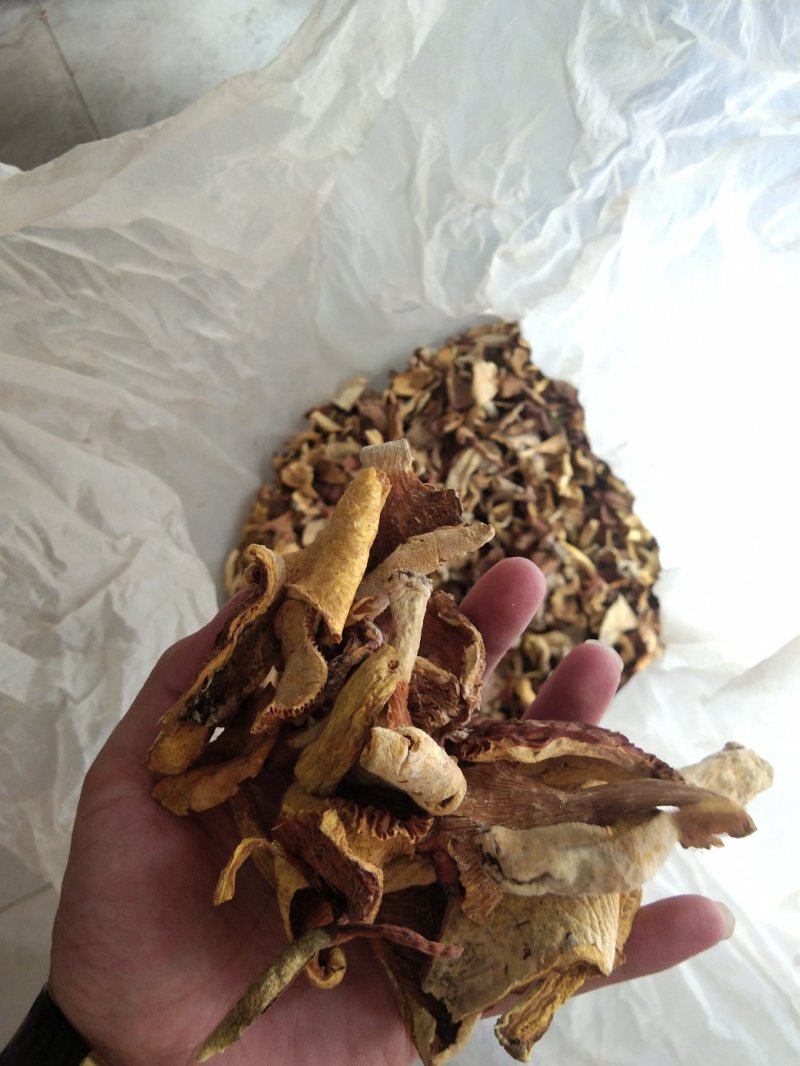 云南各种野生菌，纯野生低价处理，量大从优，质量有保障