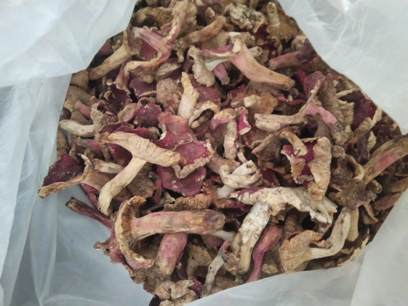 云南各种野生菌，纯野生低价处理，量大从优，质量有保障