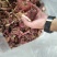 云南各种野生菌，纯野生低价处理，量大从优，质量有保障