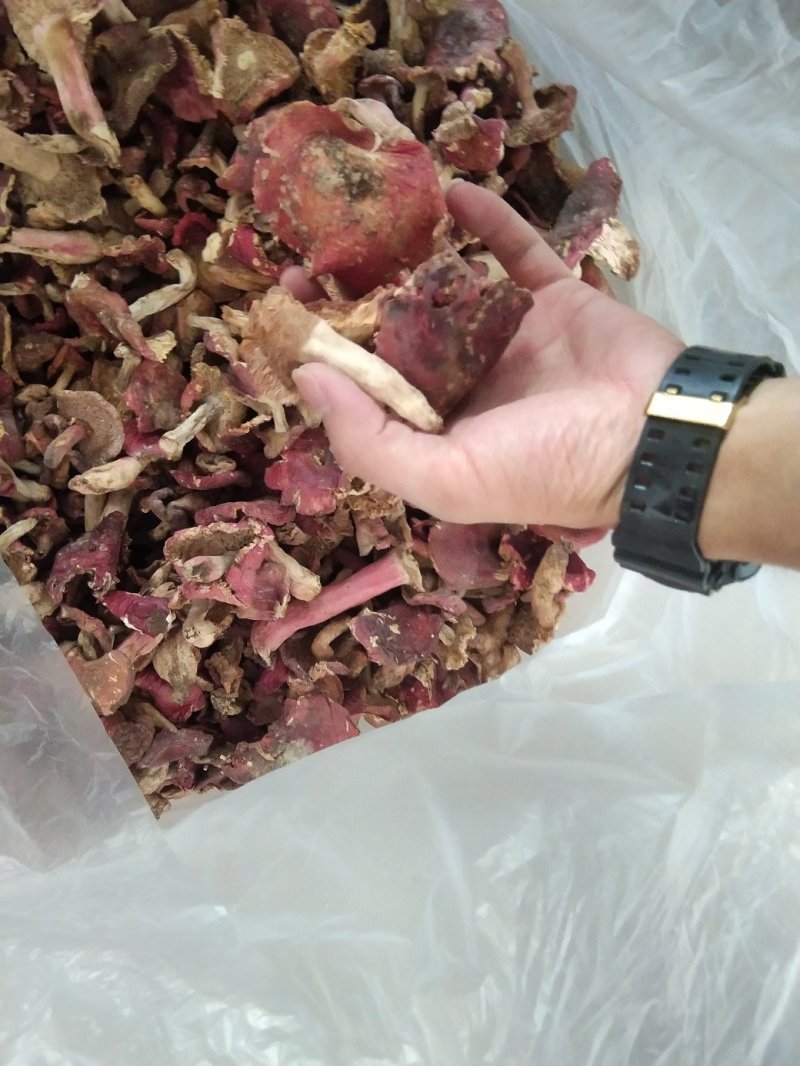 云南各种野生菌，纯野生低价处理，量大从优，质量有保障