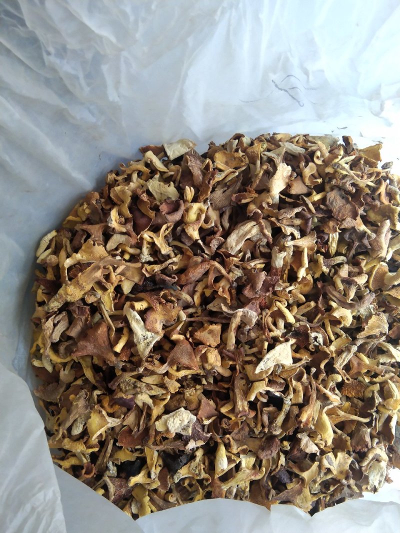 云南各种野生菌，纯野生低价处理，量大从优，质量有保障