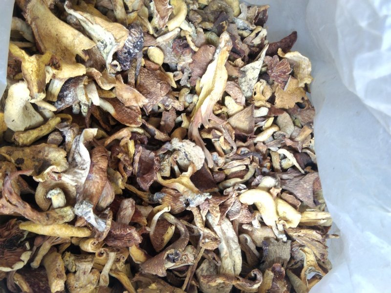 云南各种野生菌，纯野生低价处理，量大从优，质量有保障