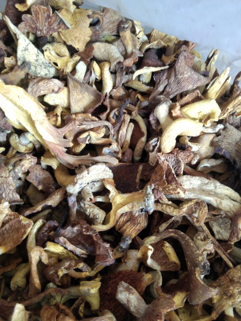 云南各种野生菌，纯野生低价处理，量大从优，质量有保障