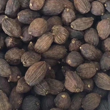 草果正品草果新货无硫***假一赔十批发零售
