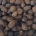 草果正品草果新货无硫***假一赔十批发零售