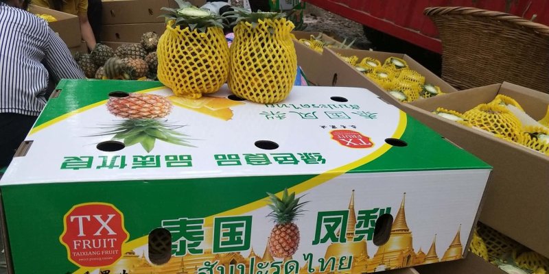 【凤梨】8斤净果装，一件代发，招收代理，供应所有渠道