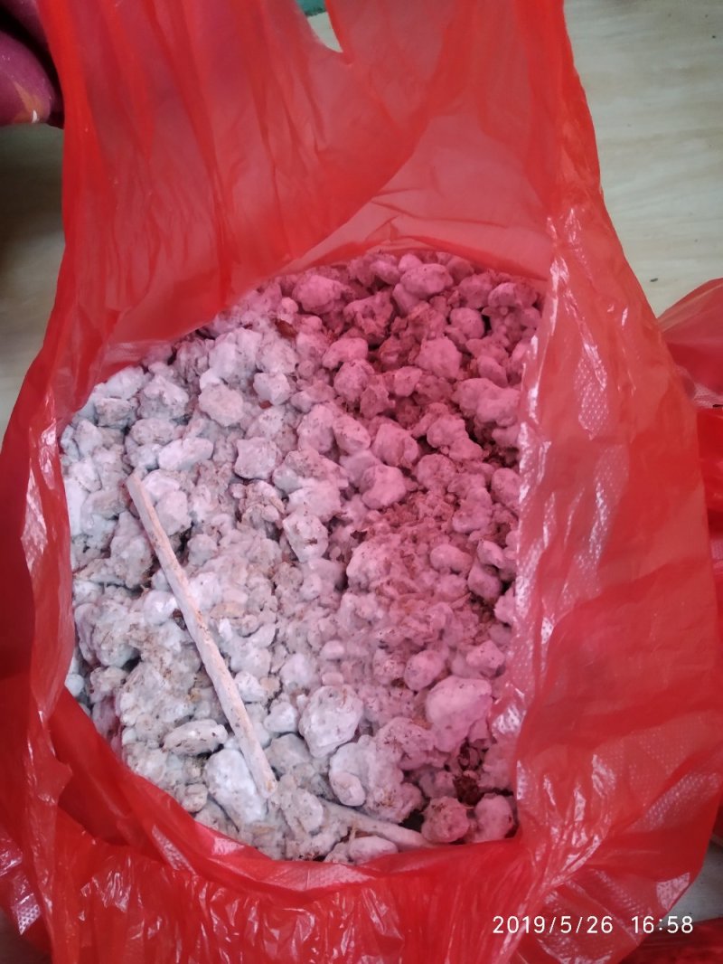 专供天麻萌发菌朔果，简称菌包