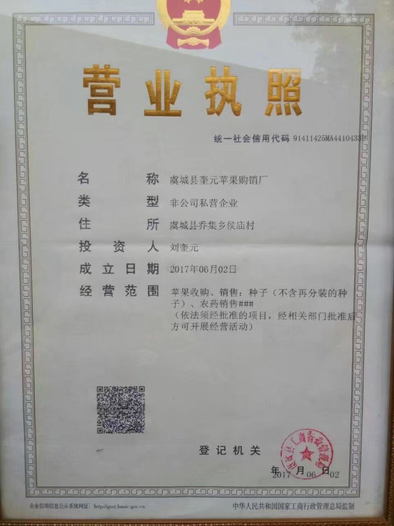 曙光油桃，黄肉油桃！精品货源，火爆销售中！
