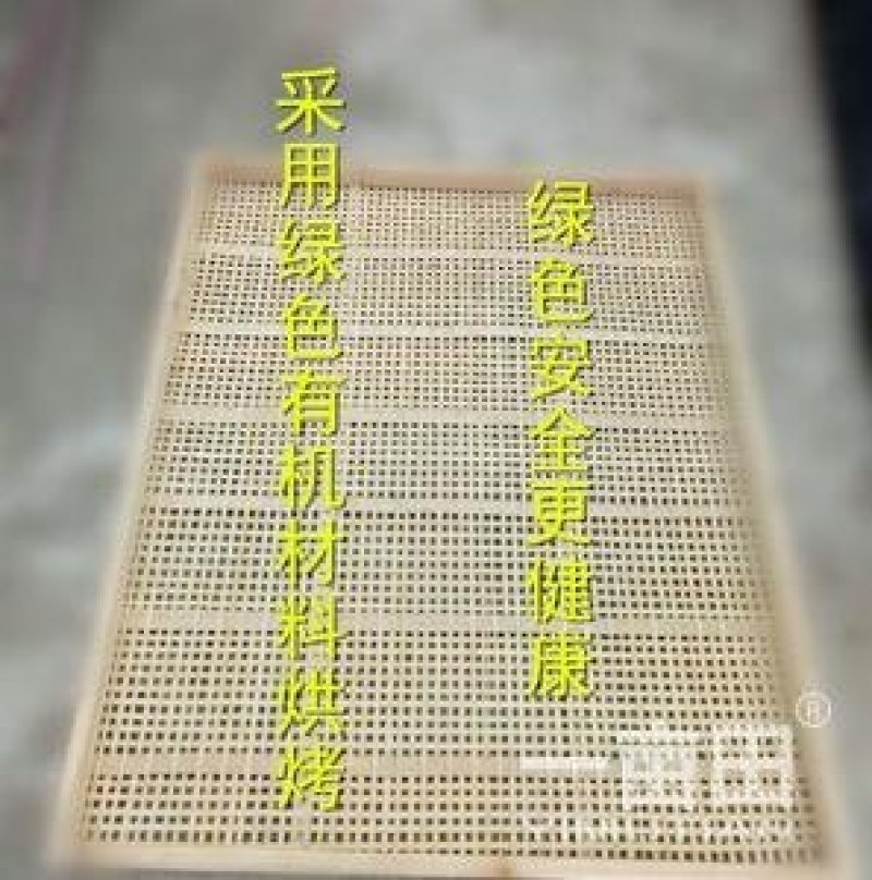 金丝皇菊苗菊花苗大量批发对接全国包成活率保质量