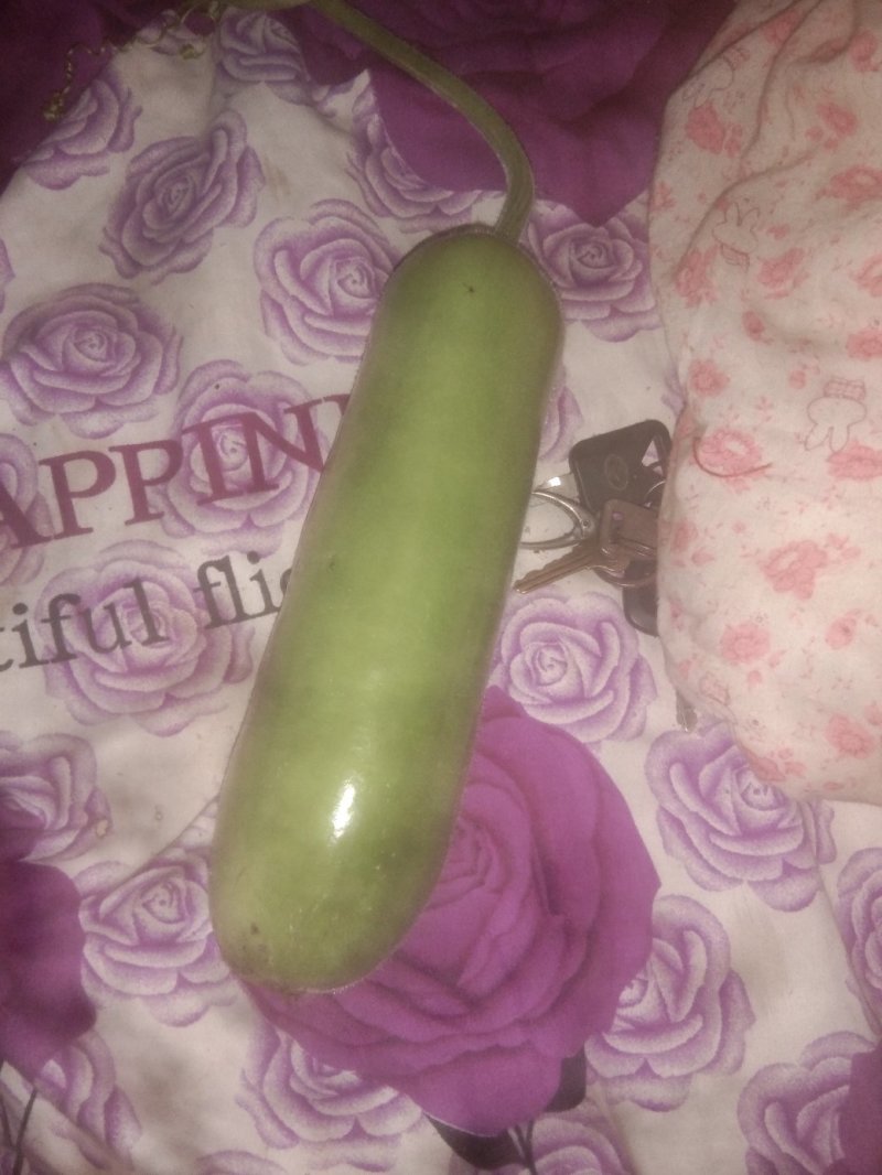 瓠瓜