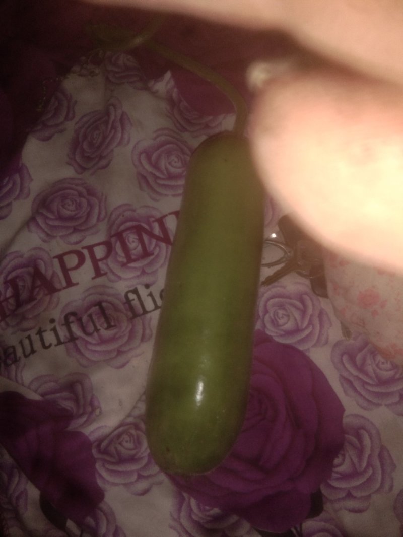 瓠瓜