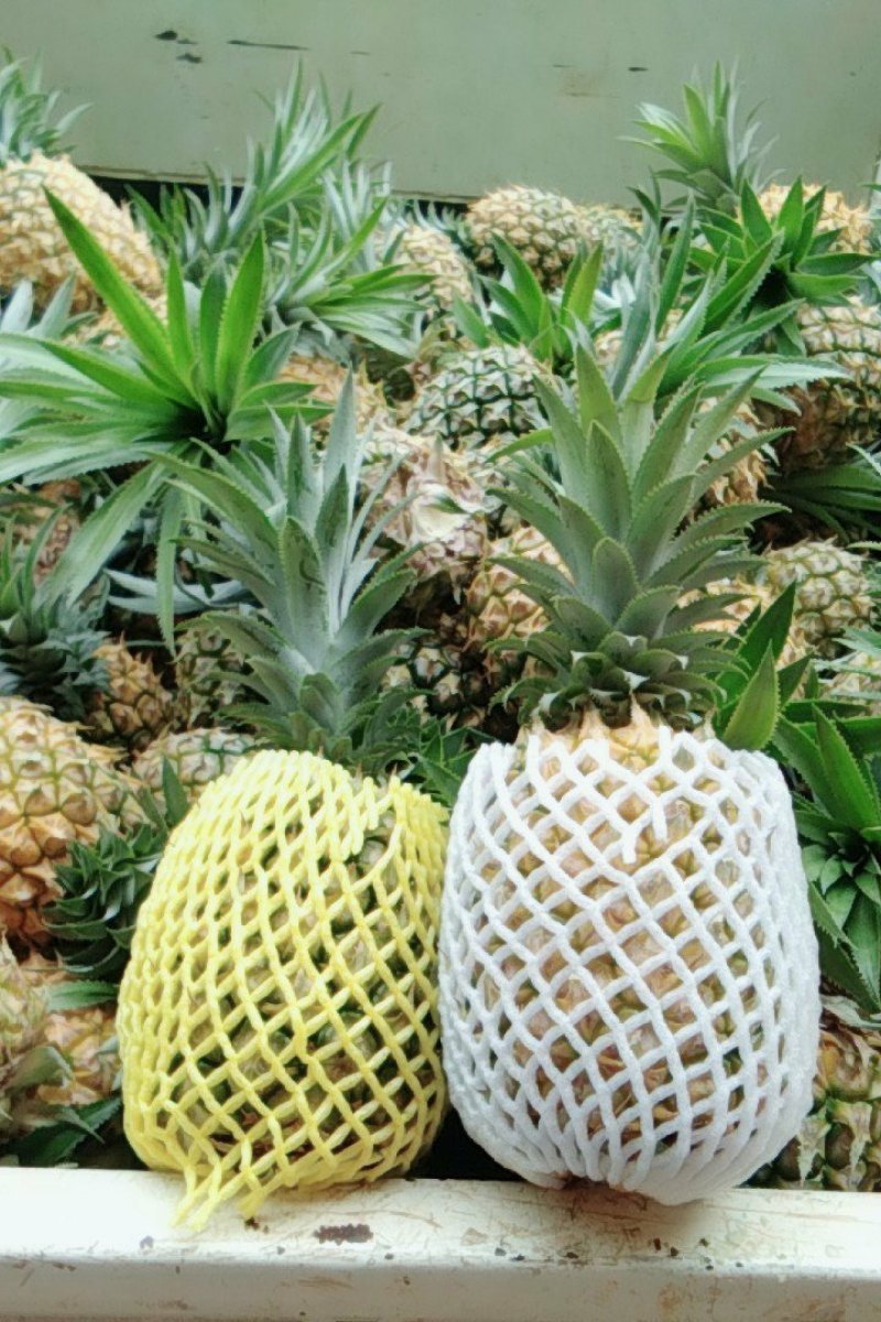 香水菠萝